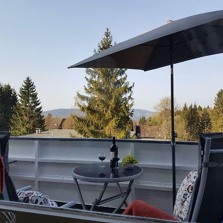 Apartamento Weitblick Sankt Andreasberg Exterior foto