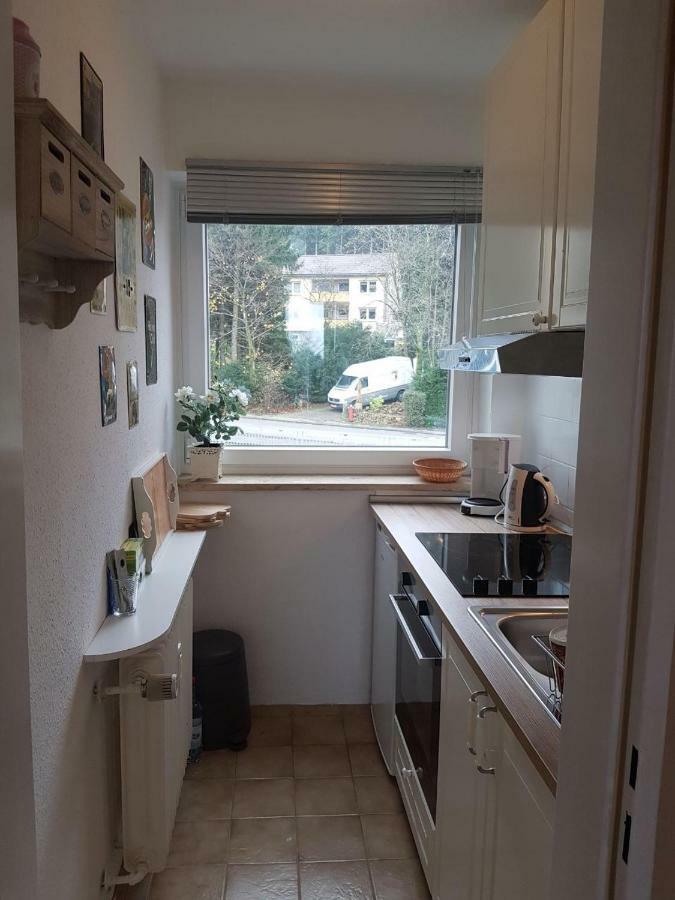 Apartamento Weitblick Sankt Andreasberg Exterior foto